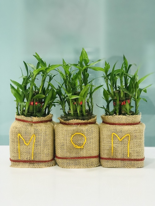 Bamboo For Mom 